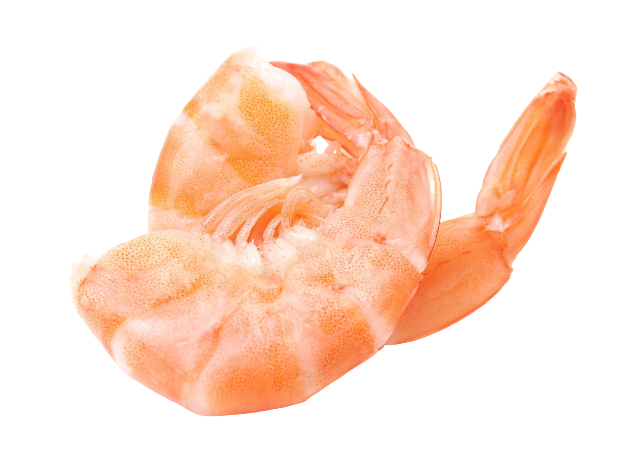 Tôm